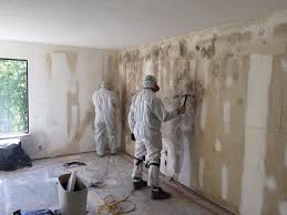 Why You Should Choose Our Mold Remediation Services in Guthrie Center, IA